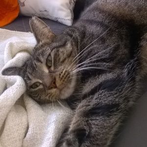 Meet your Posher, Inês